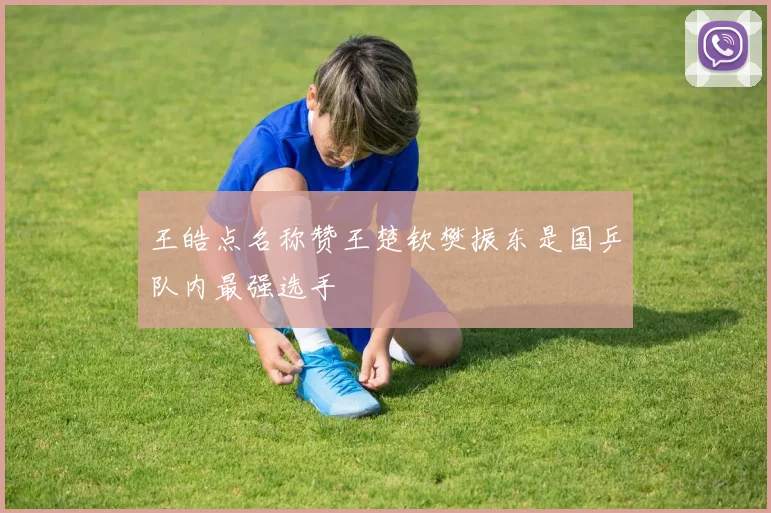 王皓点名称赞王楚钦樊振东是国乒队内最强选手