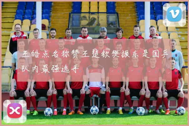 王皓点名称赞王楚钦樊振东是国乒队内最强选手